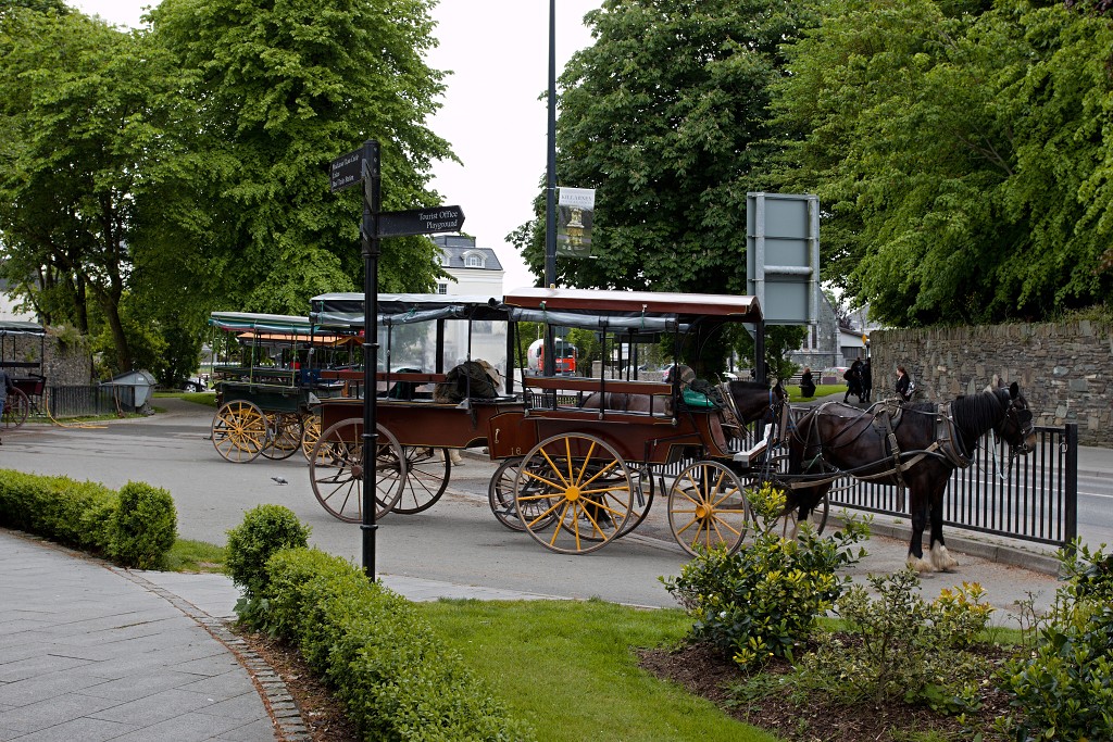 dingle killarney eire ierland Ierse graafschap ring of kerry de dolfijn Fungie Mount Brandon whiskey irish pub ale bisdom